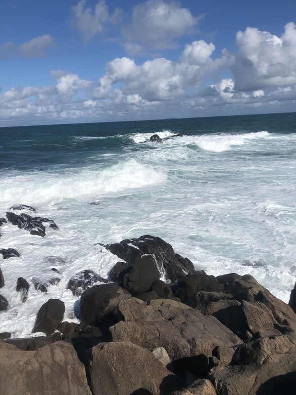 f:id:mantaro1026:20191022225112j:plain