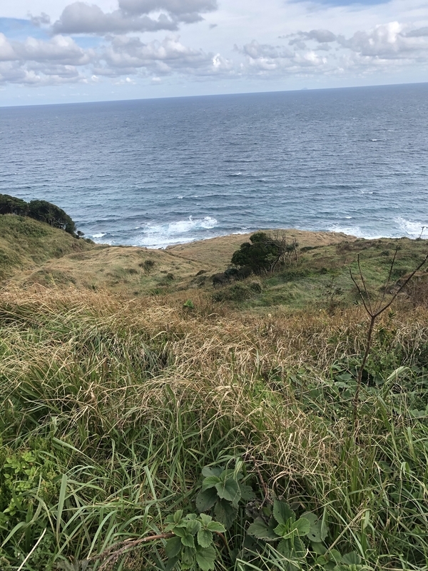 f:id:mantaro1026:20191022225927j:plain