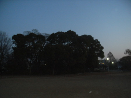 f:id:mantrapri:20091225070945j:image