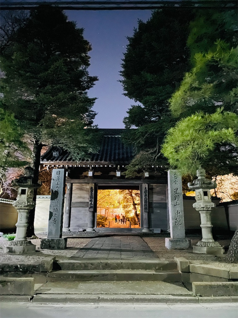 f:id:manyaa1219:20230320133738j:image