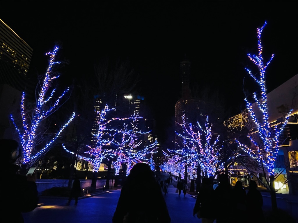 f:id:manyaa1219:20231226130515j:image