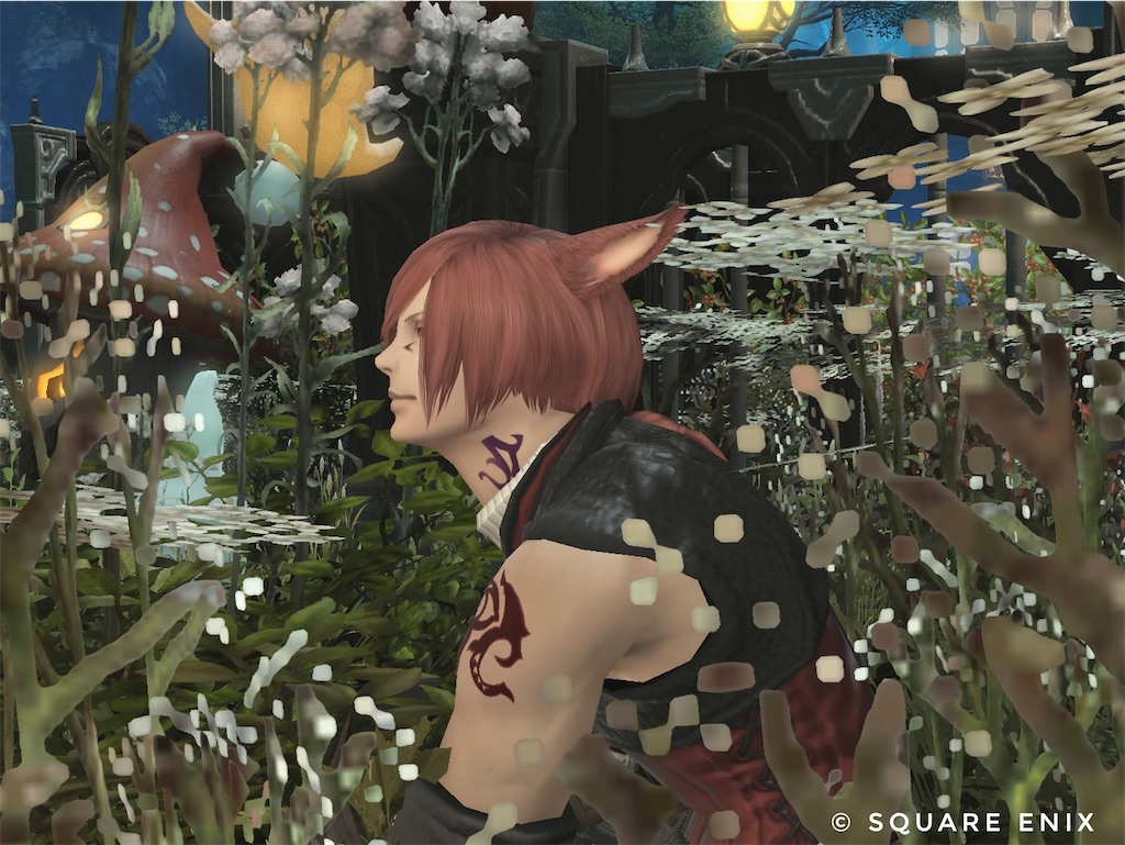 f:id:manyaa1219:20241118124345j:image