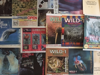 WILD-1で働いてたころの懐かしい産物