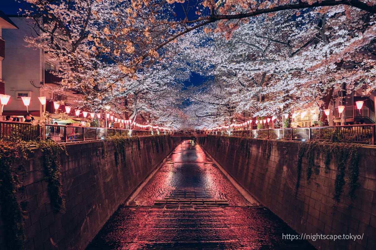 桜前線上昇中♪ 仕事帰りにサッと寄れるお花見スポット3選! - 海外を飛び回る生活をする♪成長記録!