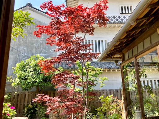 f:id:mao1581:20250504215021j:image