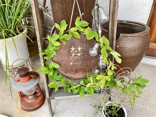 f:id:mao1581:20250921115212j:image