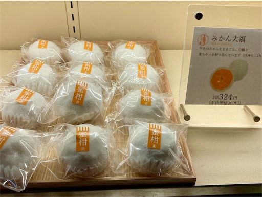 f:id:mao1581:20250921160445j:image