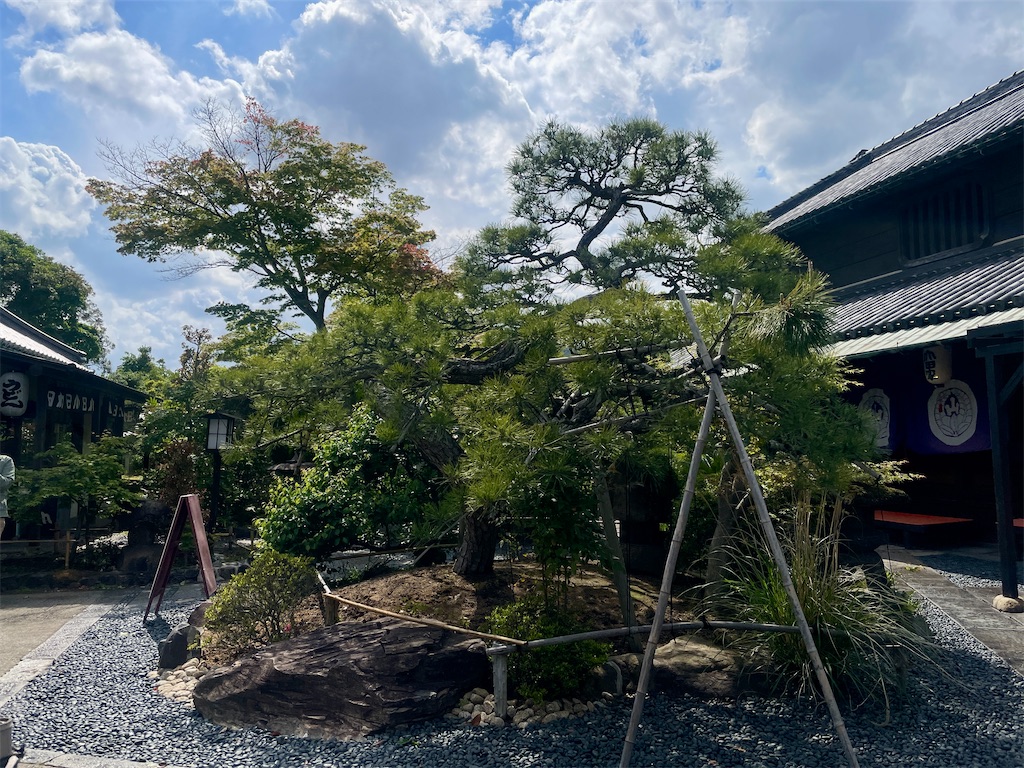 f:id:mao1581:20260607172826j:image
