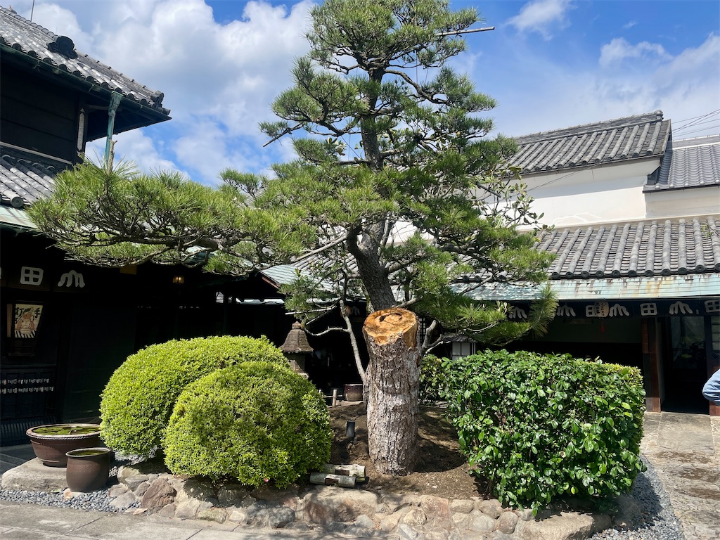 f:id:mao1581:20260607172849j:image