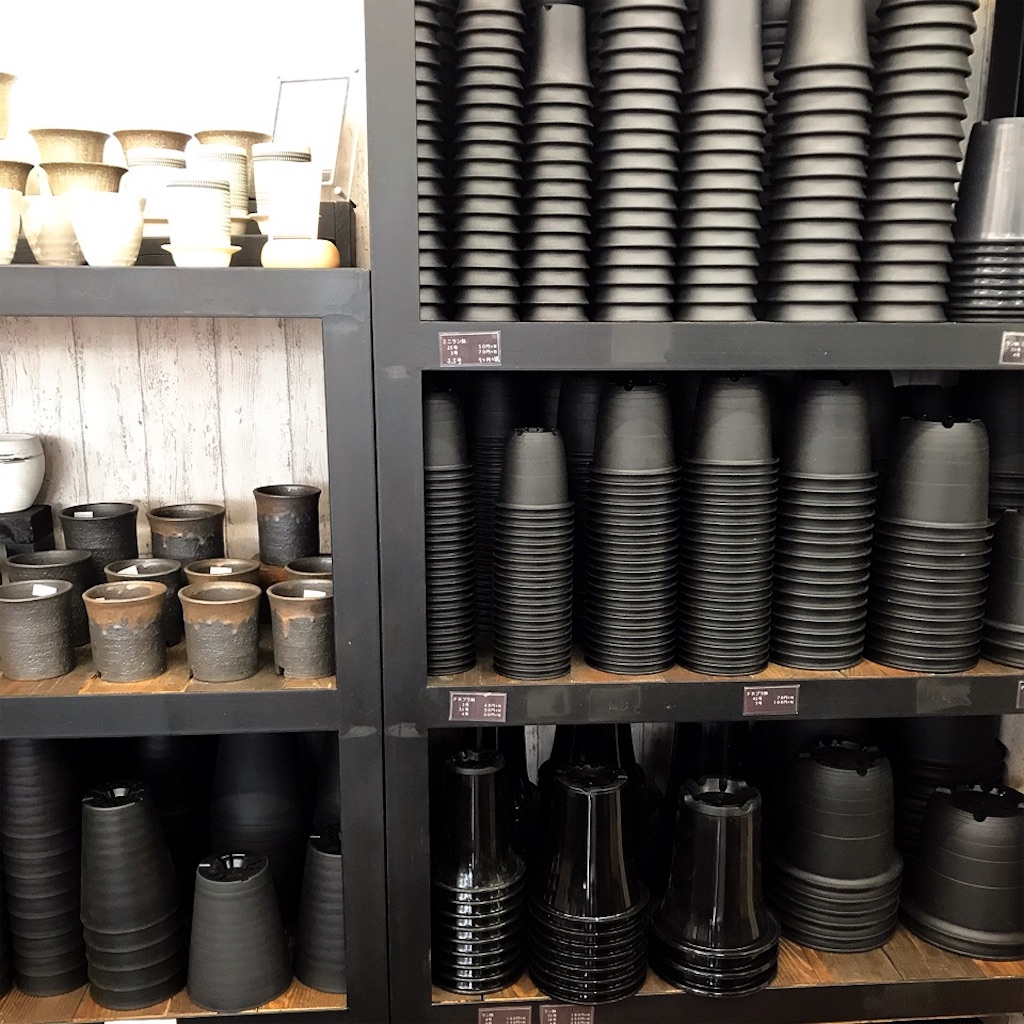 lockfield equipment 鶴仙園 鉢 【公式通販】