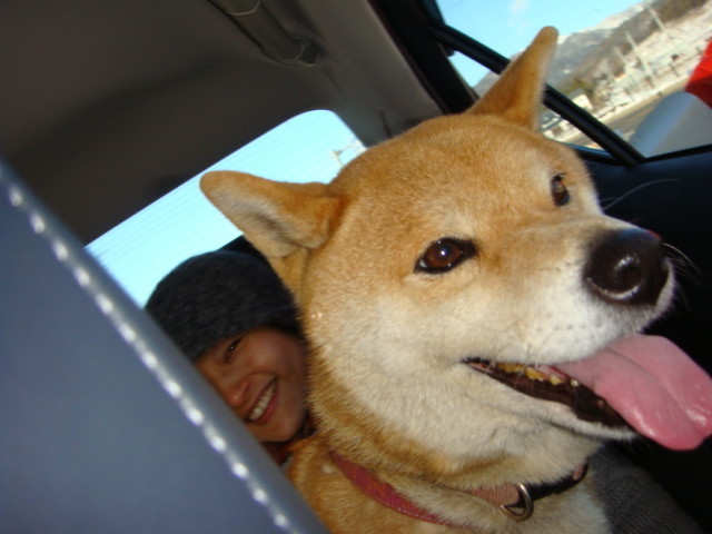f:id:maonima:20120203145009j:plain