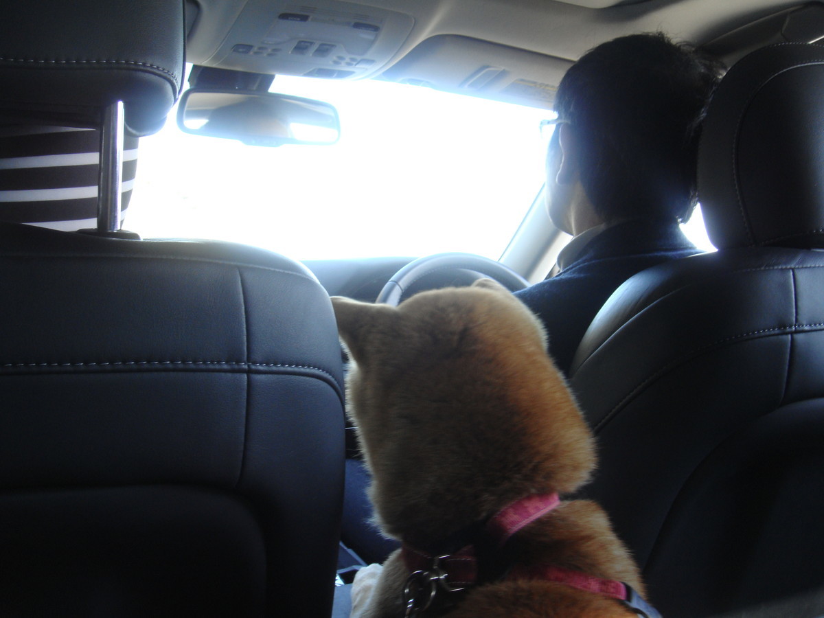 f:id:maonima:20140324150537j:plain