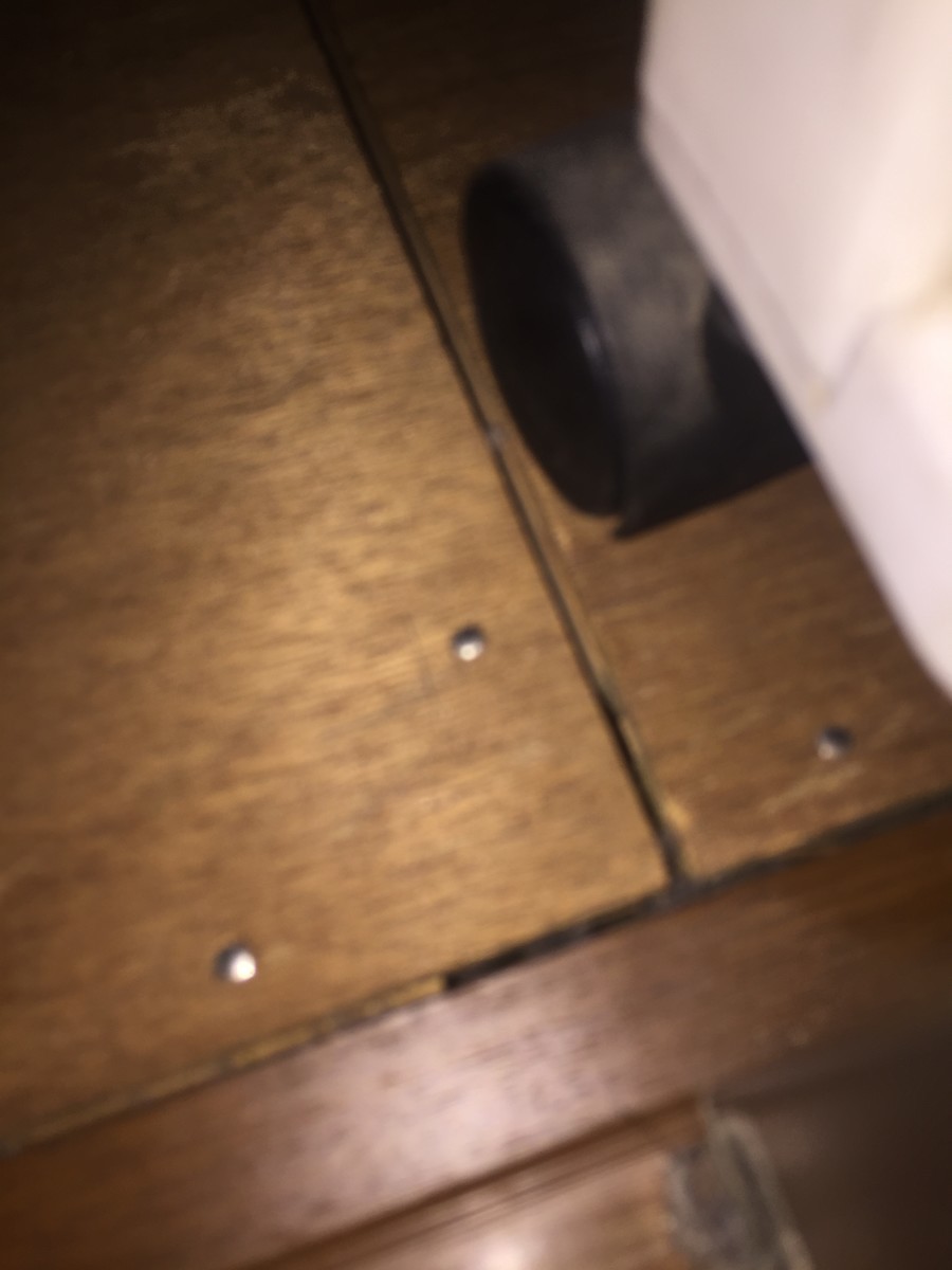 f:id:maonima:20190424174015j:plain f:id:maonima:20190424174015j:plain