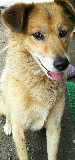 f:id:maorairukimao:20180825082308j:image f:id:maorairukimao:20180825082308j:image