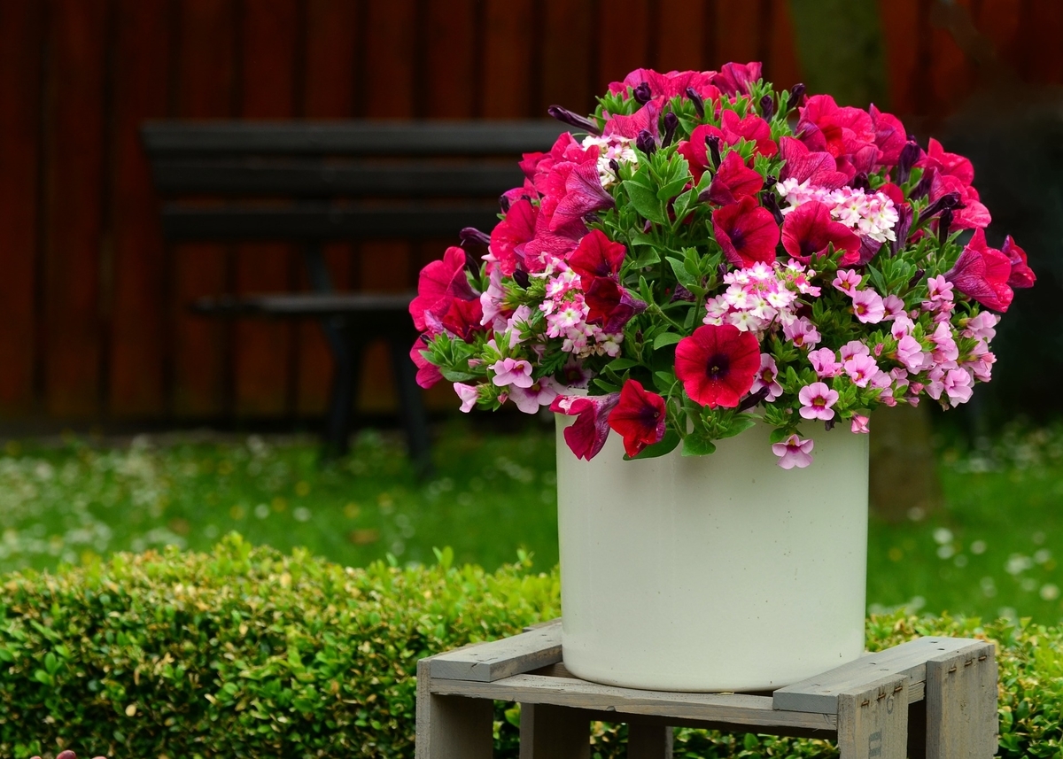 f:id:maoran:20190604165419j:plain