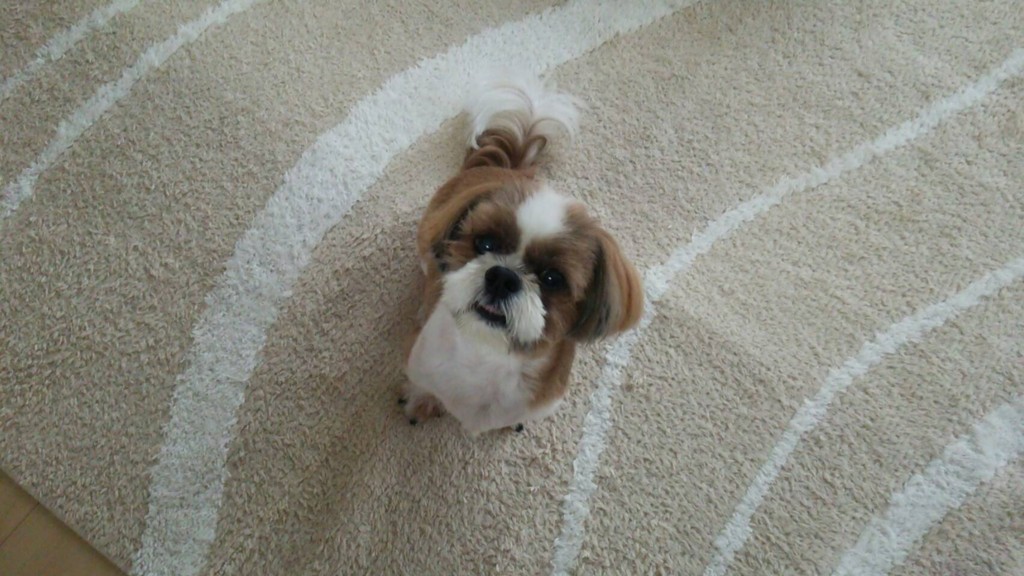 f:id:maosuke1225:20160711102701j:plain f:id:maosuke1225:20160711102701j:plain