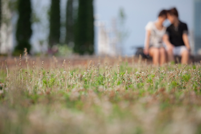 f:id:maphoto:20150630055923j:plain