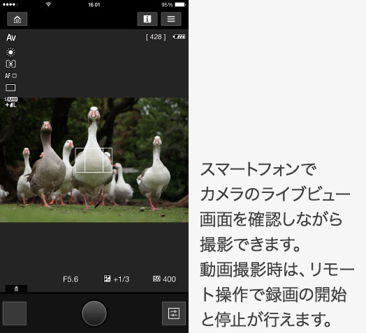 f:id:maphoto:20160218152017j:plain