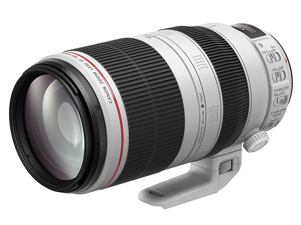 キヤノンEF100-400mm F4.5-5.6L IS USMが中古で8万円代
