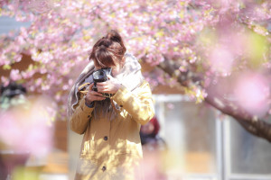 カメラ女子ポートレート桜