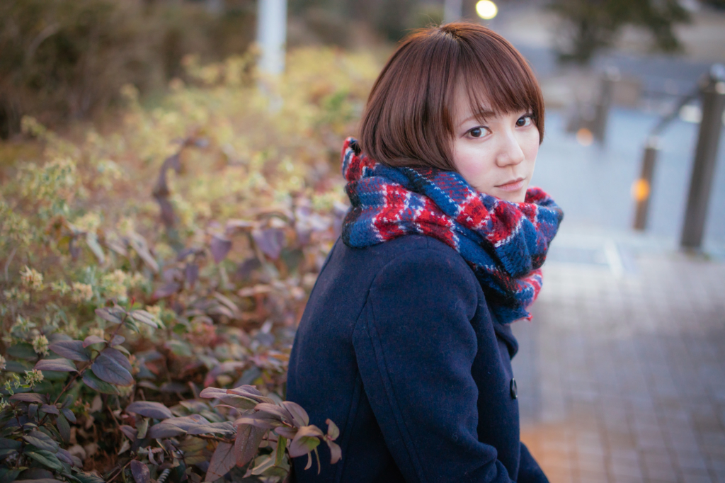 f:id:maphoto:20170205131735j:plain