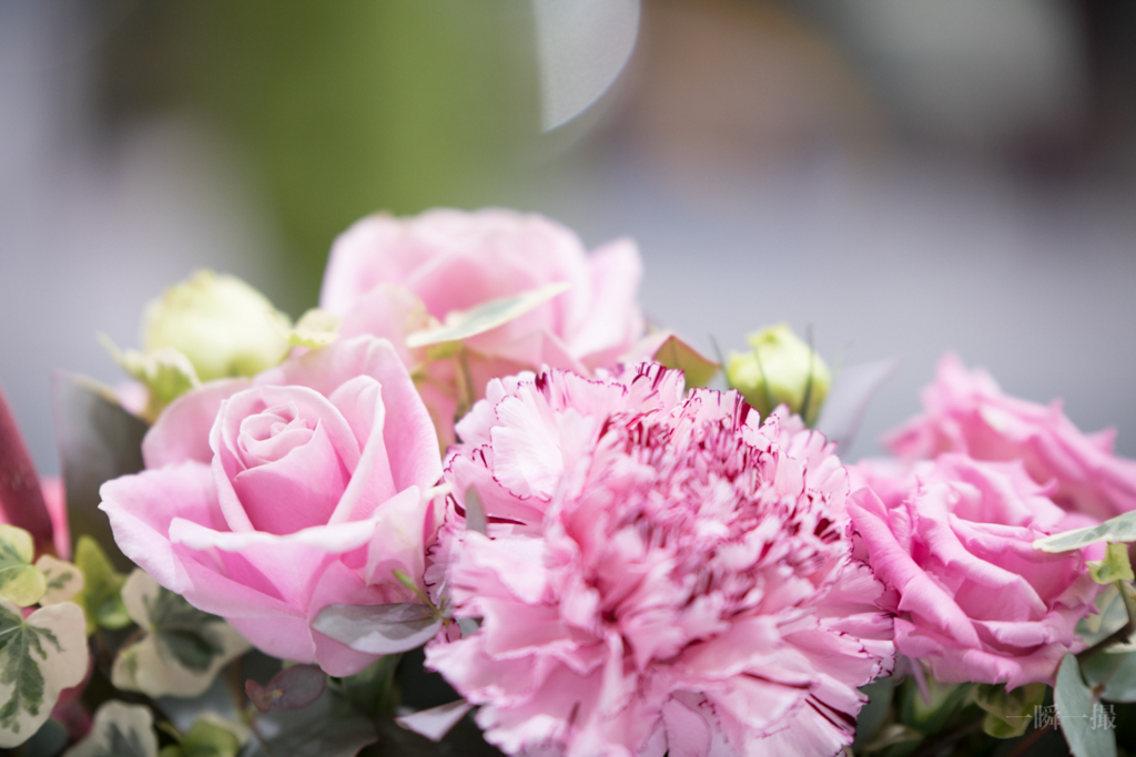 f:id:maphoto:20170223142630j:plain