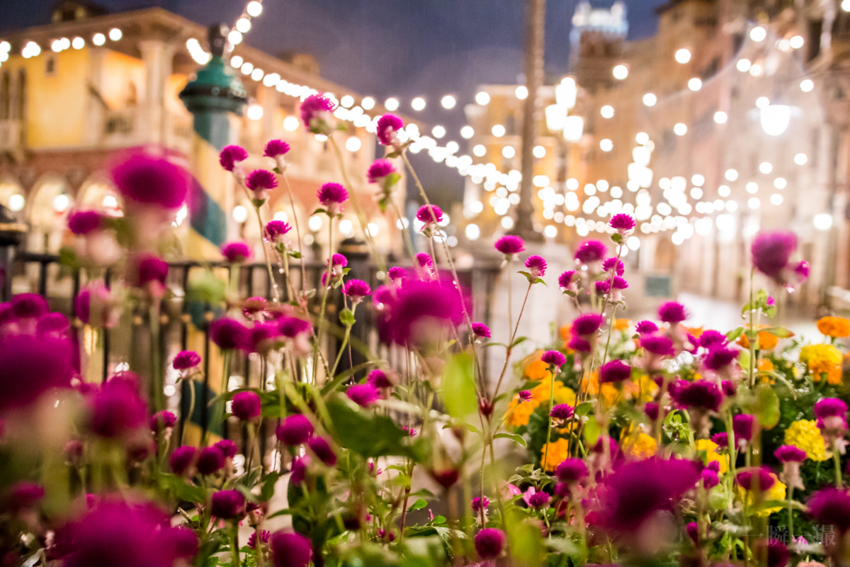 f:id:maphoto:20171017095748j:plain f:id:maphoto:20171017095748j:plain