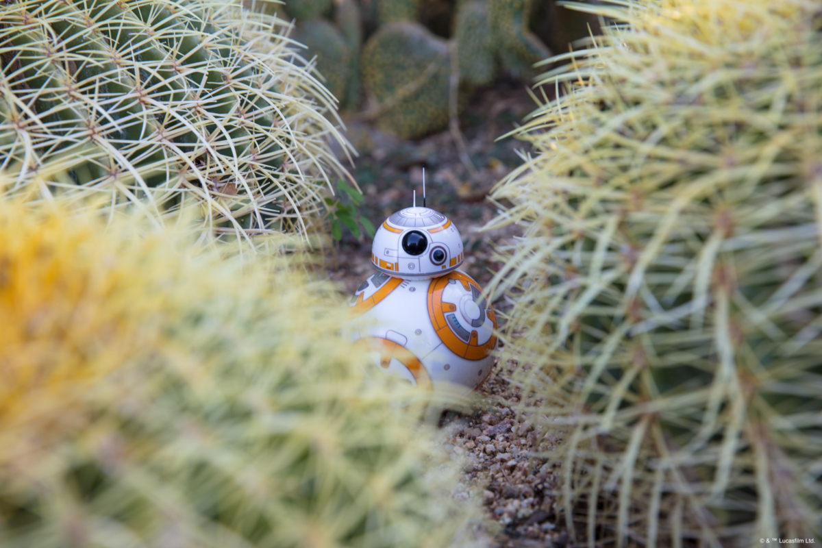 f:id:maphoto:20171210074416j:plain