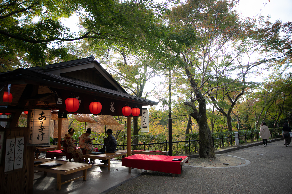 f:id:maphoto:20181105210705j:plain