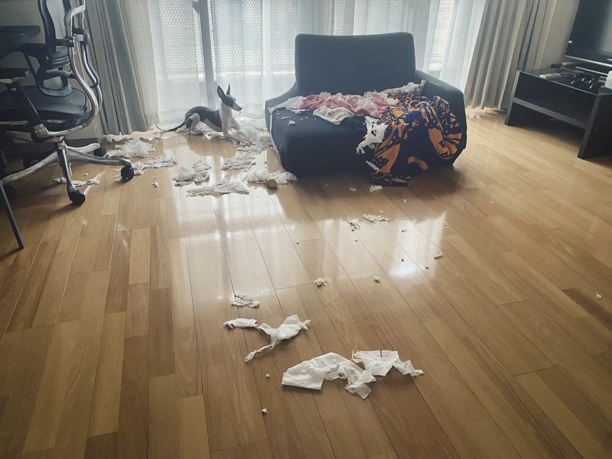 f:id:maphoto:20201213185811j:plain