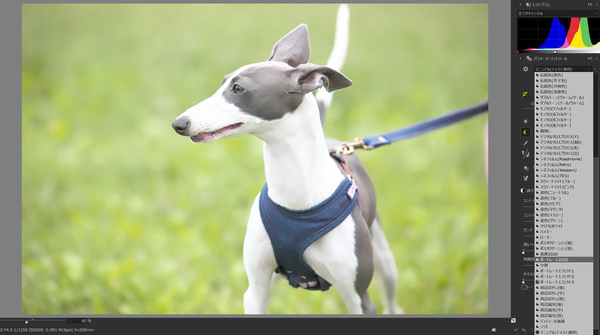 f:id:maphoto:20210129142015j:plain