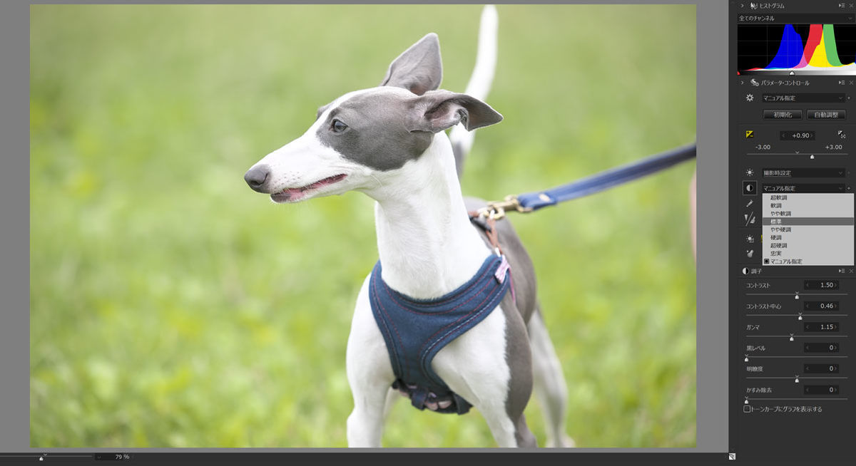 f:id:maphoto:20210129142027j:plain