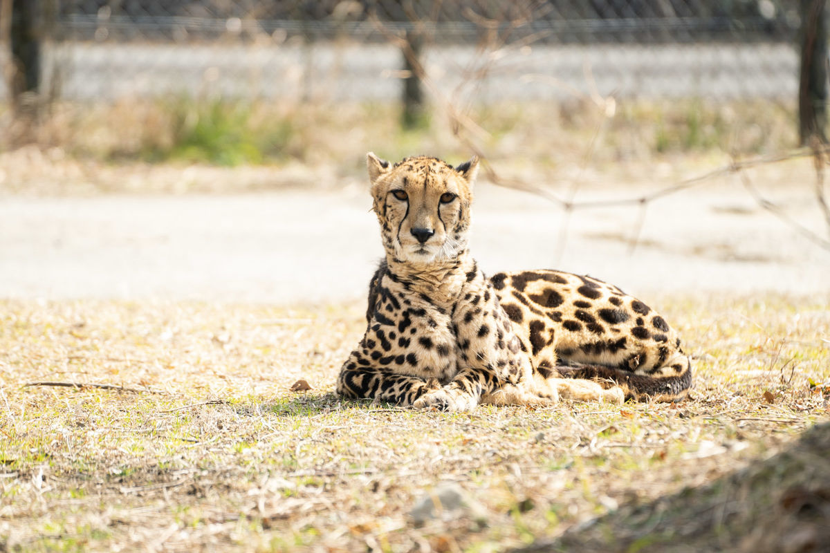 f:id:maphoto:20220227044336j:plain