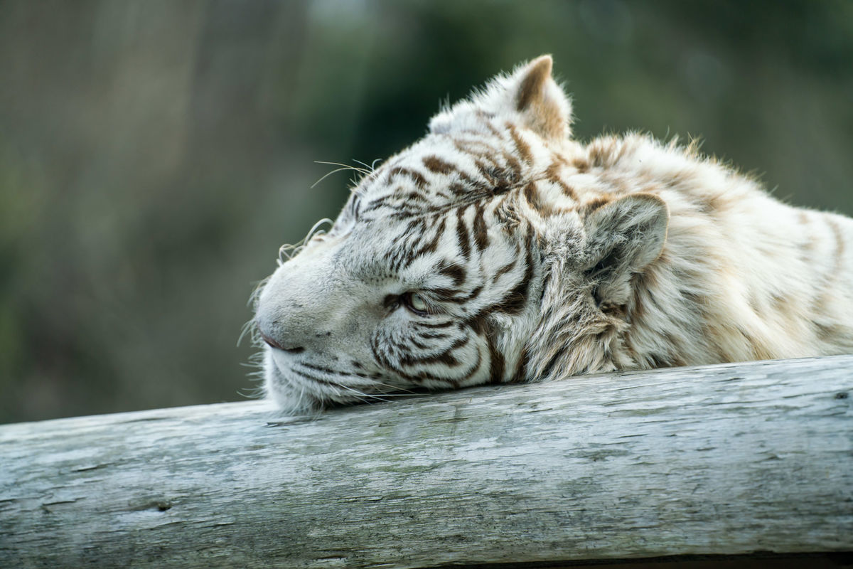 f:id:maphoto:20220227044345j:plain