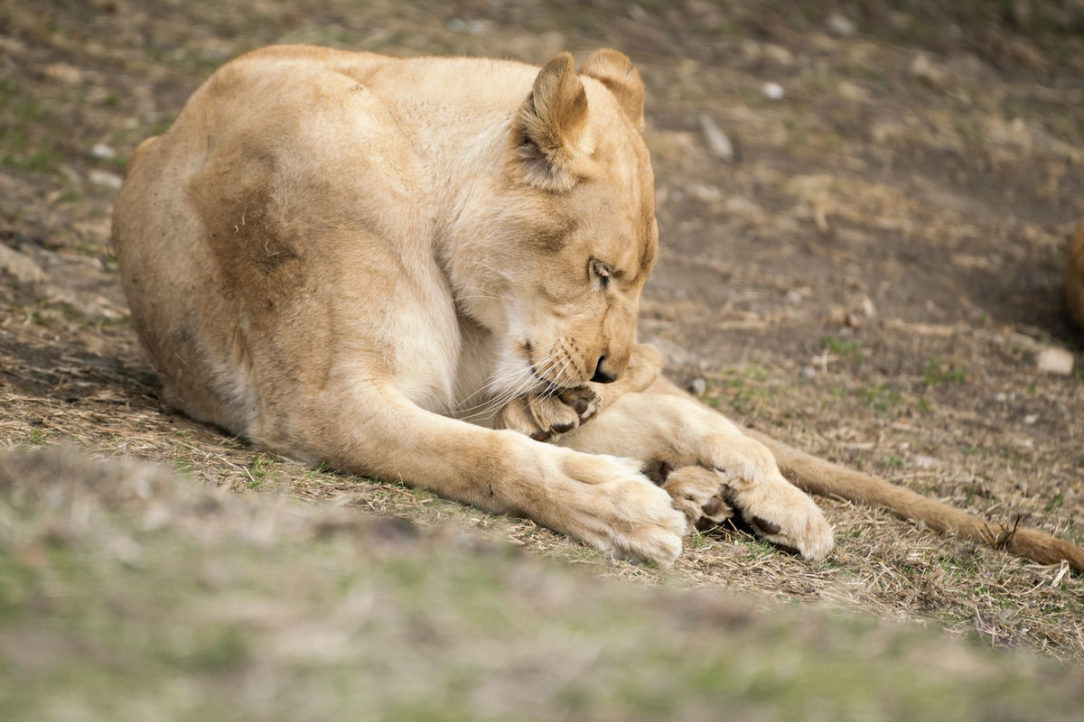 f:id:maphoto:20220227044400j:plain