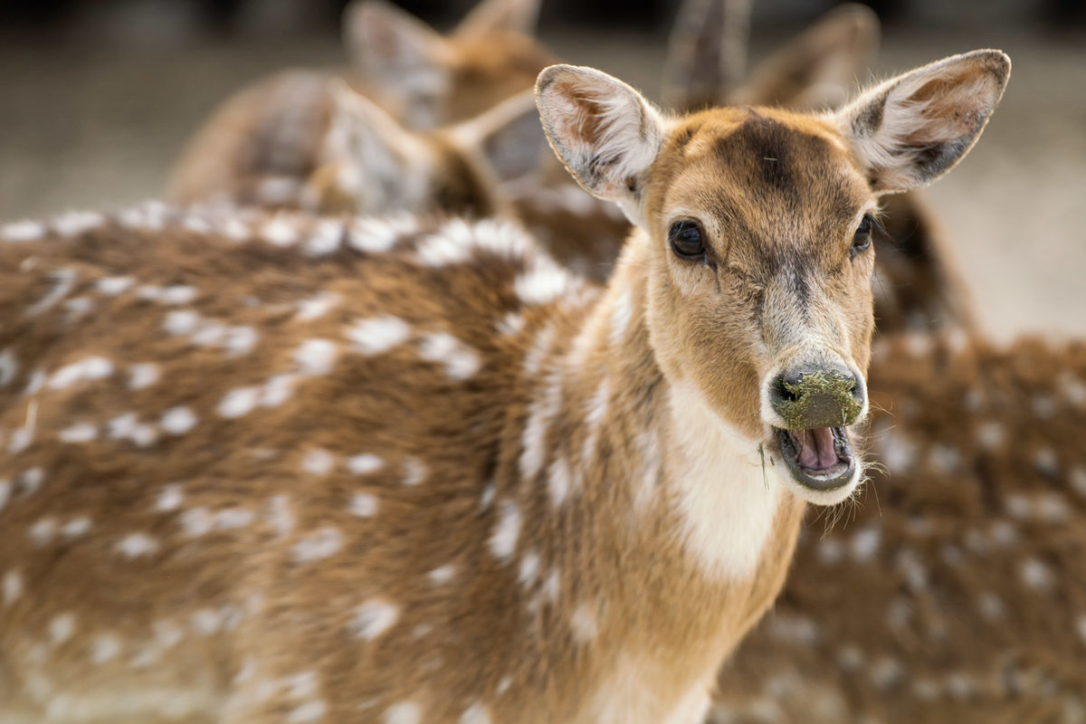 f:id:maphoto:20220227044405j:plain