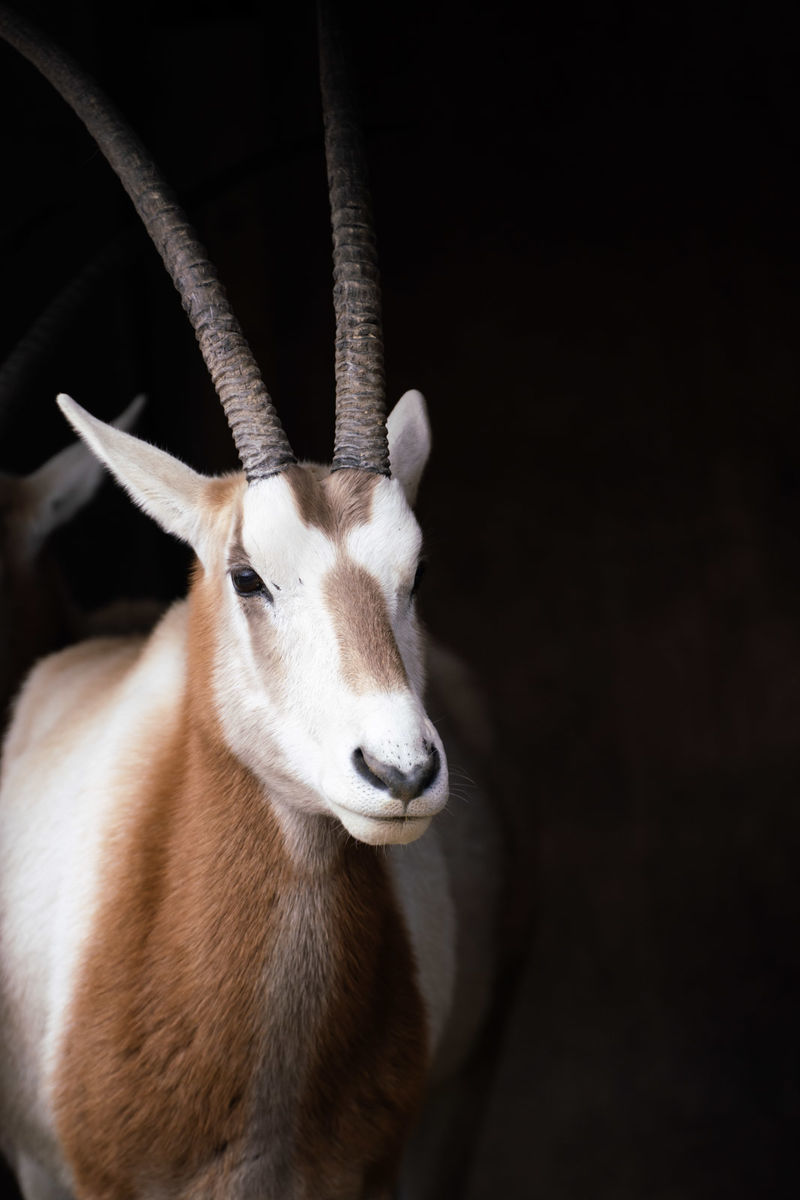 f:id:maphoto:20220227044408j:plain