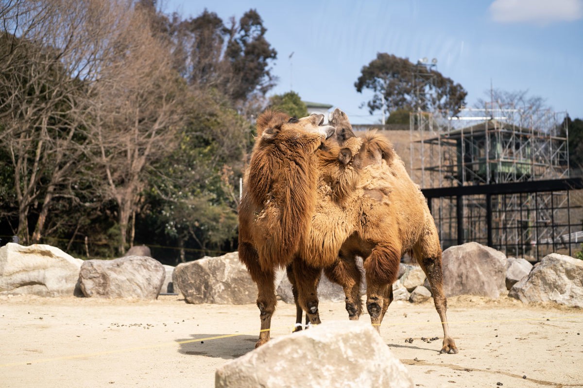 f:id:maphoto:20220227044423j:plain