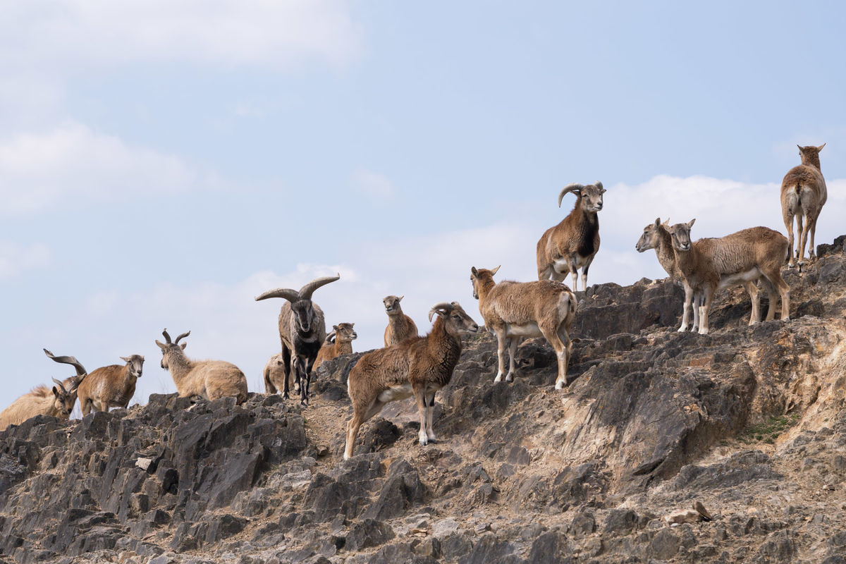 f:id:maphoto:20220227044430j:plain