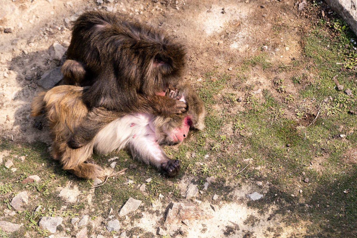 f:id:maphoto:20220227044436j:plain