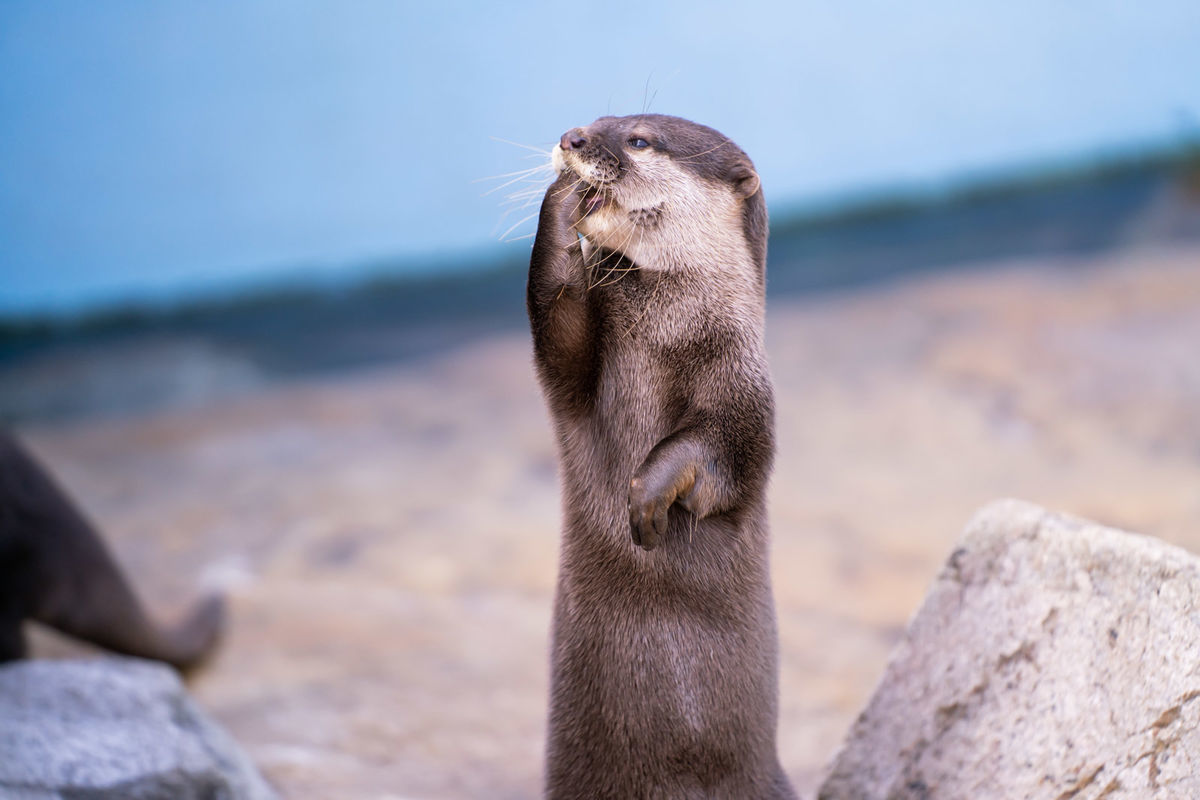 f:id:maphoto:20220227044453j:plain