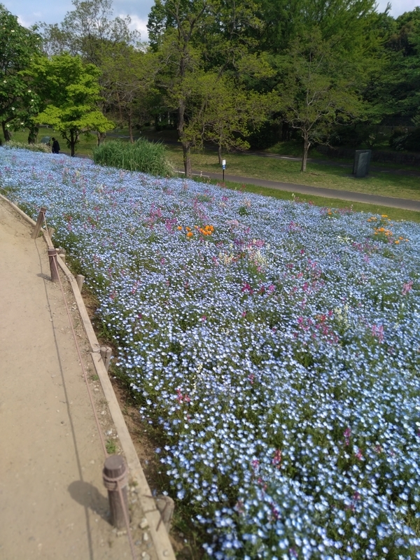 f:id:mapi_am:20190518232838j:plain f:id:mapi_am:20190518232838j:plain