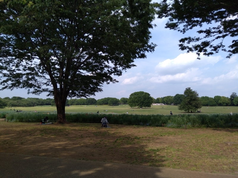 f:id:mapi_am:20190518232845j:plain f:id:mapi_am:20190518232845j:plain