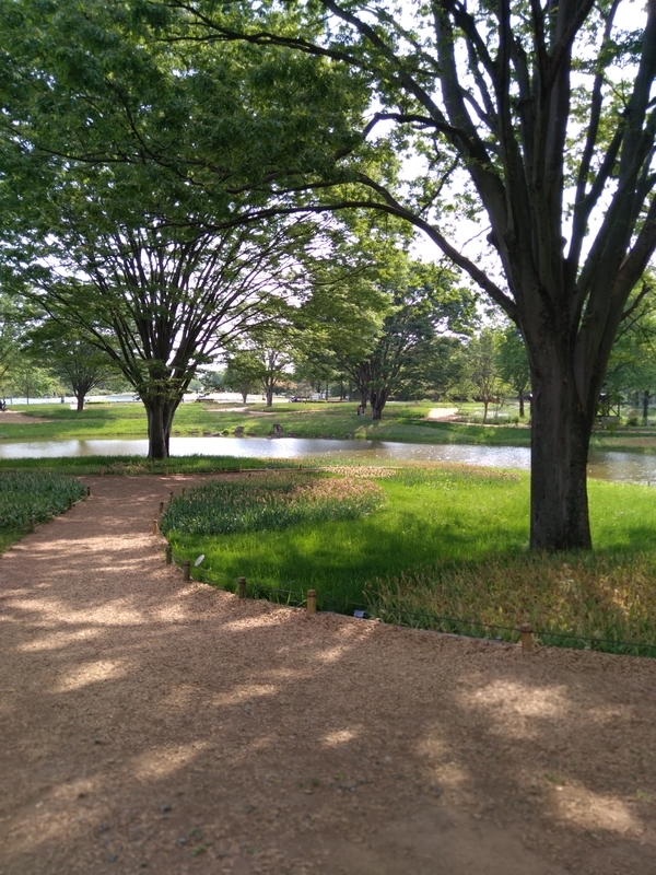 f:id:mapi_am:20190518232846j:plain f:id:mapi_am:20190518232846j:plain