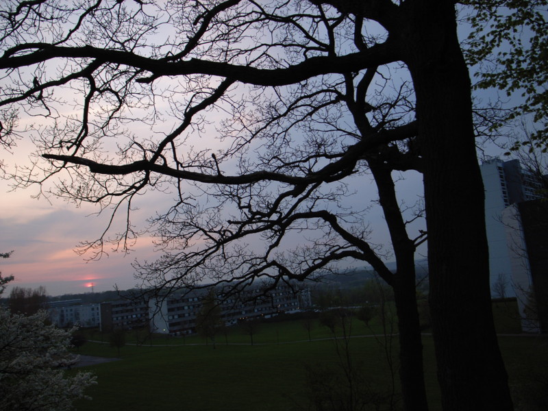 f:id:mapiko711:20090427034453j:image f:id:mapiko711:20090427034453j:image