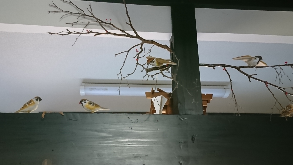 f:id:maple-enkyorikaigo:20190603205503j:plain f:id:maple-enkyorikaigo:20190603205503j:plain