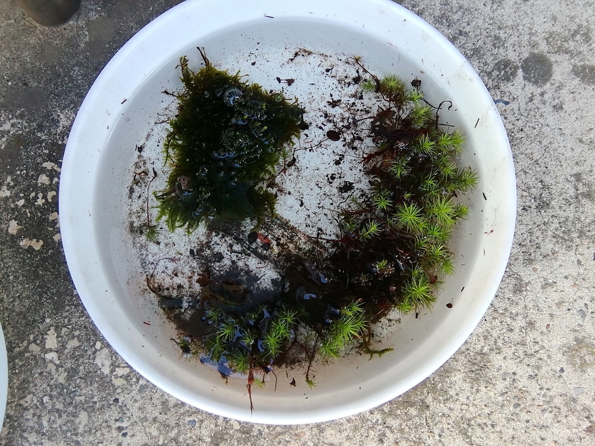 f:id:maple-enkyorikaigo:20190827162950j:plain