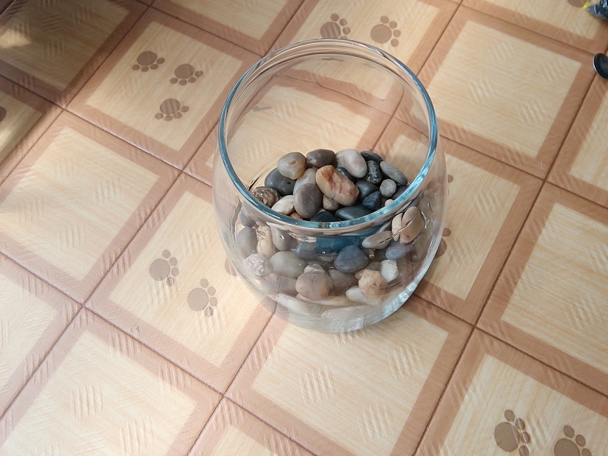 f:id:maple-enkyorikaigo:20190827163356j:plain