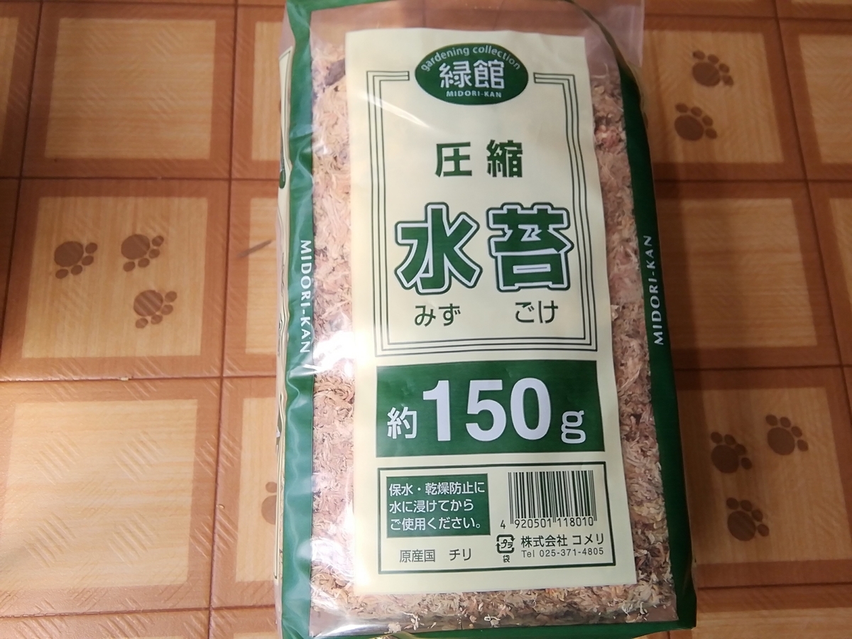 f:id:maple-enkyorikaigo:20190827163727j:plain