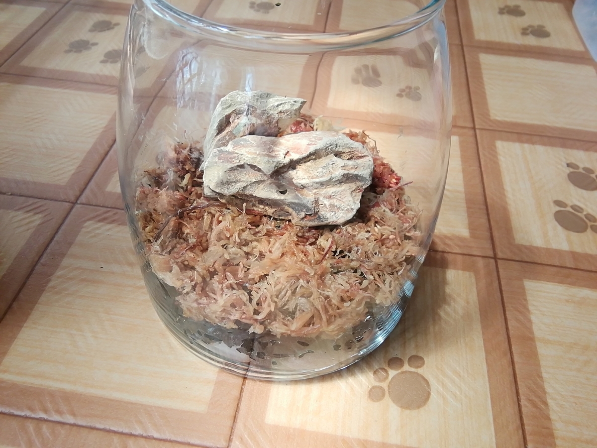 f:id:maple-enkyorikaigo:20190827164712j:plain